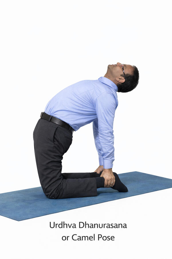 Urdhva Dhanurasan Urdhva Dhanurasan